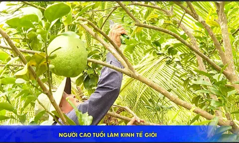 NGƯỜI CAO TUỔI LÀM KINH TẾ GIỎI