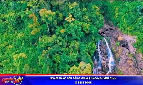 NGẮM THÁC BỐN TẦNG GIỮA RỪNG NGUYÊN SINH Ở BÌNH ĐỊNH