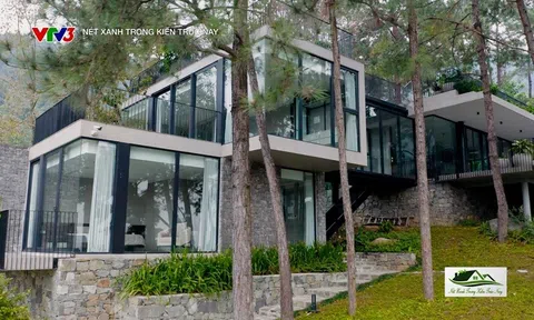 Nét Xanh Trong Kiến Trúc Nay: Khi Nghệ Thuật Gặp Thiên Nhiên