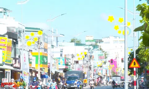 CHỈ SỐ TIA CỰC TÍM CỰC ĐẠI NGUY CƠ GÂY HẠI RẤT CAO