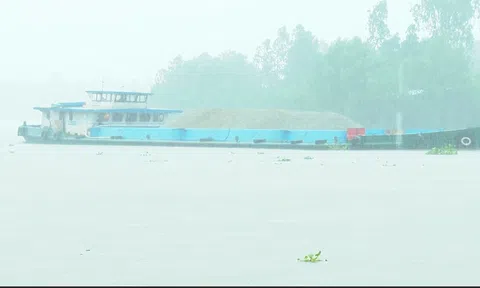 TRONG TUẦN NÀY KHU VỰC NAM BỘ SẼ CÓ MỘT ĐỢT MƯA LỚN