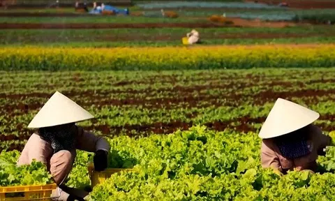 THỰC TIỄN PHÁT TRIỂN XANH Ở VIỆT NAM