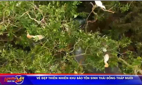 VẺ ĐẸP THIÊN NHIÊN KHU BẢO TỒN  SINH THÁI ĐỒNG THÁP MƯỜI