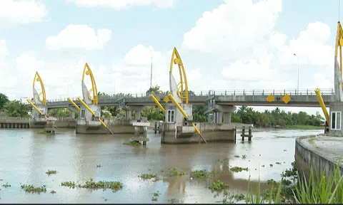 THỦY LỢI Ở ĐBSCL ĐẢM BẢO TƯỚI TIÊU KIỂM SOÁT NƯỚC CHO GẦN 3 TRIỆU HA ĐẤT CANH TÁC